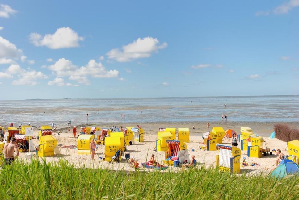 Harmsen Cuxhaven